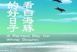 A Perfect Day for White Dolphin