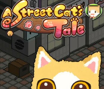 A Street Cat's Tale