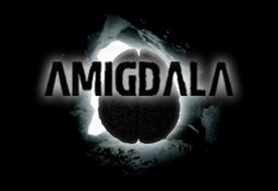 Amigdala