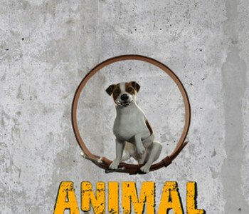 Animal Shelter