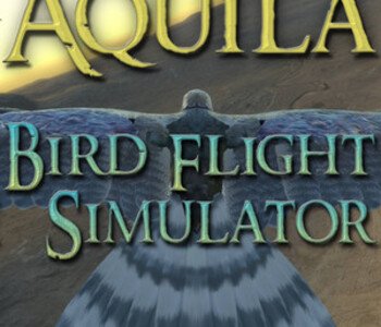 Aquila Bird Flight Simulator