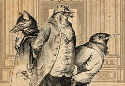 Aviary Attorney