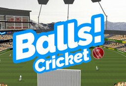 Balls! Virtual Reality Cricket