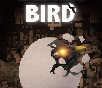 BLACK BIRD Nintendo Switch