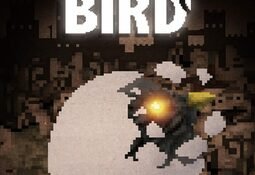 BLACK BIRD Nintendo Switch