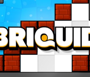 Briquid