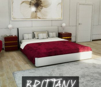 Brittany Home Alone