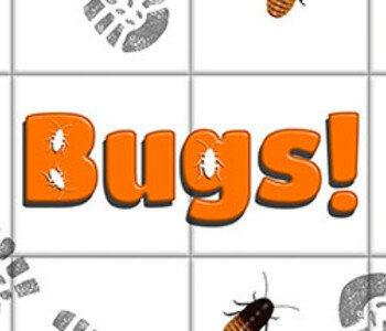 Bugs!