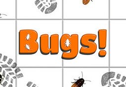 Bugs!