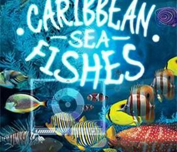 Caribbean Sea Fishes