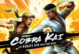 Cobra Kai: The Karate Kid Saga Continues