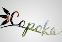 Copoka