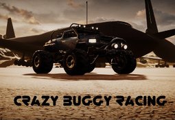 Crazy Buggy Racing