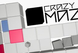 CRAZY MAZE