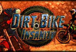 Dirt Bike Insanity