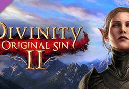 Divinity: Original Sin 2 - Divine Ascension