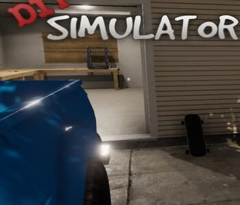 DIY Simulator