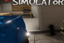 DIY Simulator