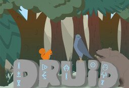 Druid