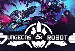 Dungeons and Robots