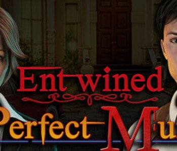 Entwined: The Perfect Murder