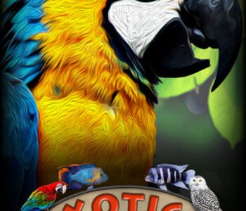 Exotica: Petshop Simulator