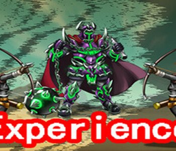 Experience