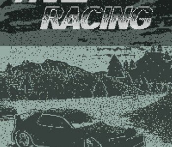 Fake Racing