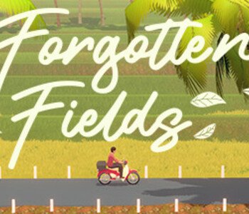 Forgotten Fields