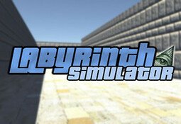 Labyrinth Simulator