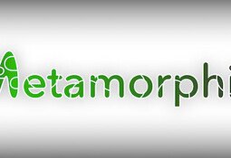 Metamorphic