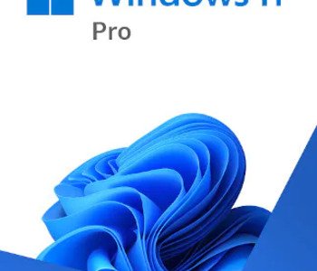 Microsoft Windows 11 Pro