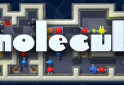 Molecule - a chemical challenge