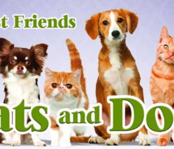 My Best Friends - Cats & Dogs