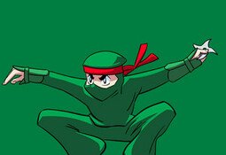 Ninja Midori