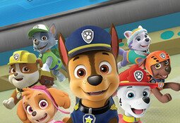 Paw Patrol: On A Roll