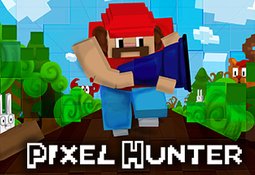 Pixel Hunter