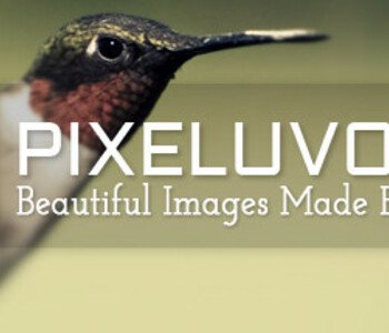 Pixeluvo