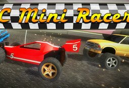 RC Mini Racers