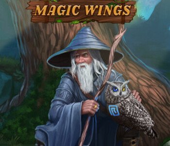 Riddles of the Owls' Kingdom. Magic Wings