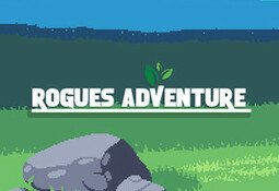 Rogues Adventure