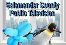 Salamander County Public Television