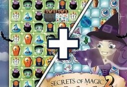 Secrets of Magic The Book of Spells & Secrets of Magic Witches and Wizards Double Pack Nintendo Switch