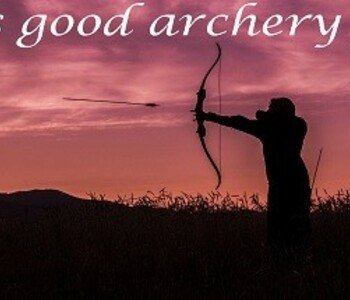 Seems good archery game