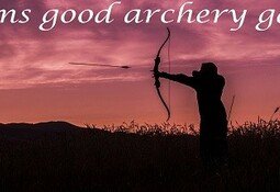 Seems good archery game