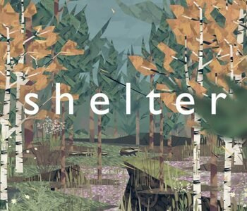 Shelter