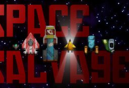 Space Salvager