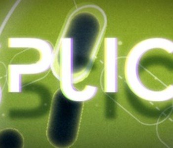 Splice