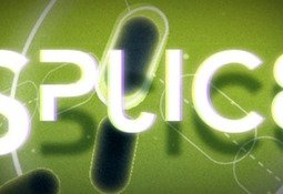 Splice