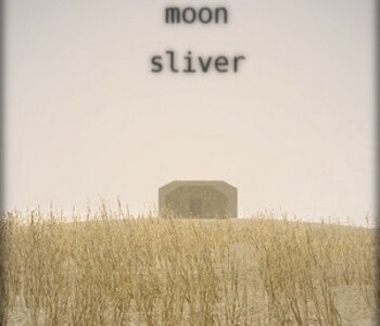 The Moon Sliver